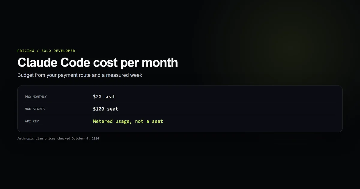 Claude Pro and Max monthly seats compared with metered API key usage